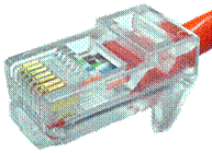 00029545.gif