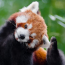 Panda3