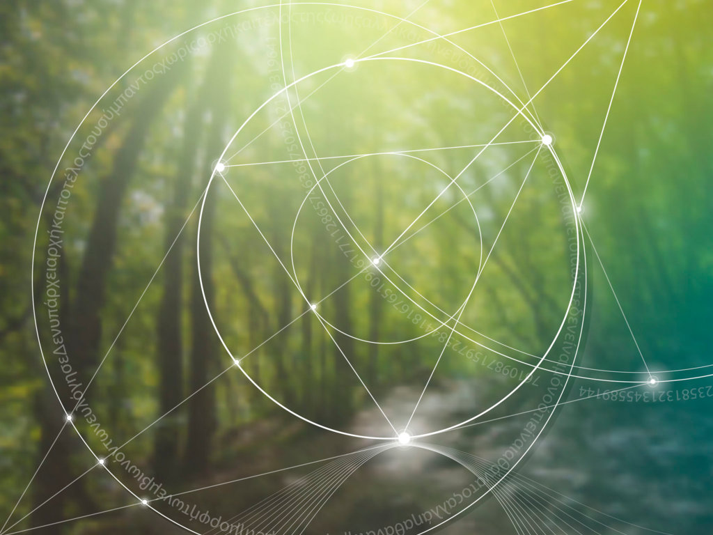 Ciekawostki matematyczne: Złota proporcja