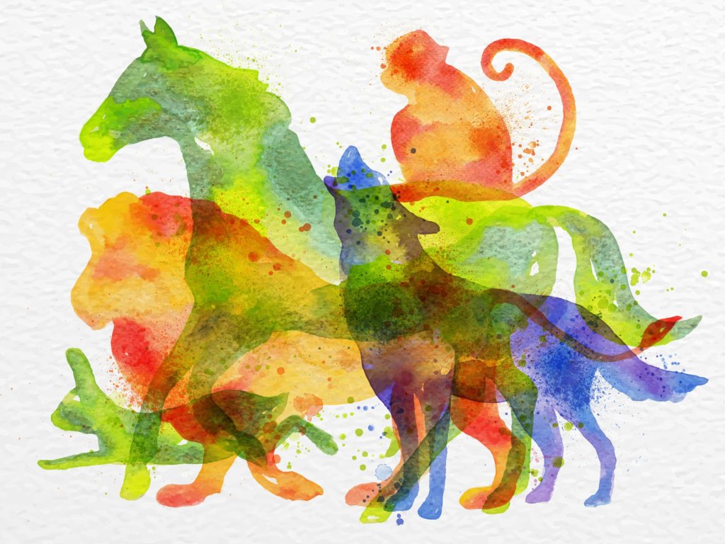 Ciekawostki biologiczne: mieszańce zwierząt