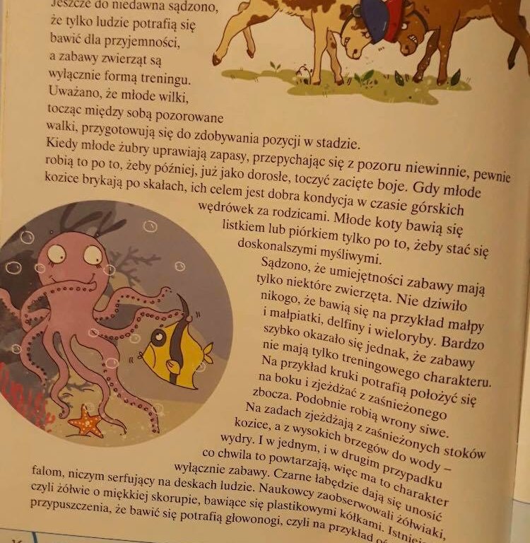 Zadanie w załączniku - załącznik 2