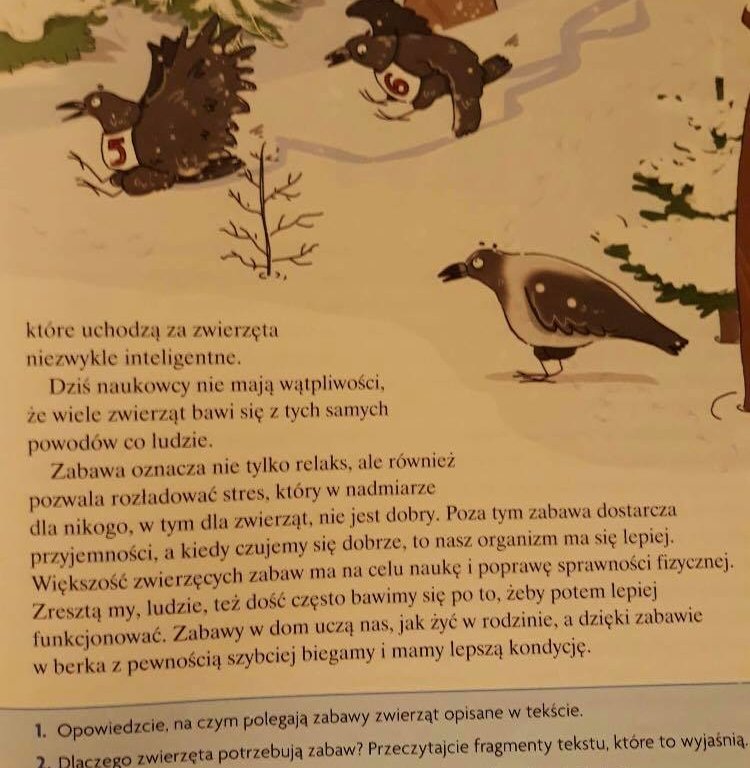 Zadanie w załączniku - załącznik 3