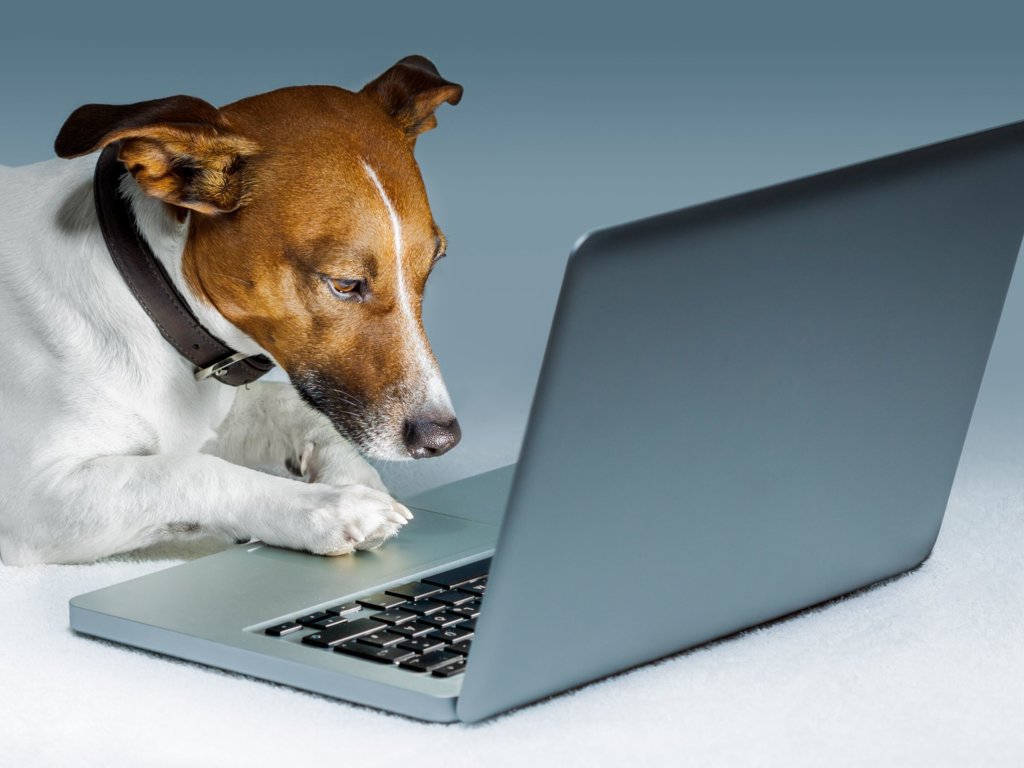 Ciekawostki biologiczne: mieszańce zwierząt cz. 4