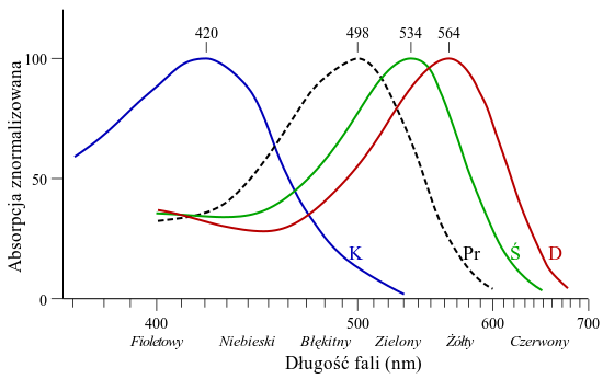 Cone-response-pl