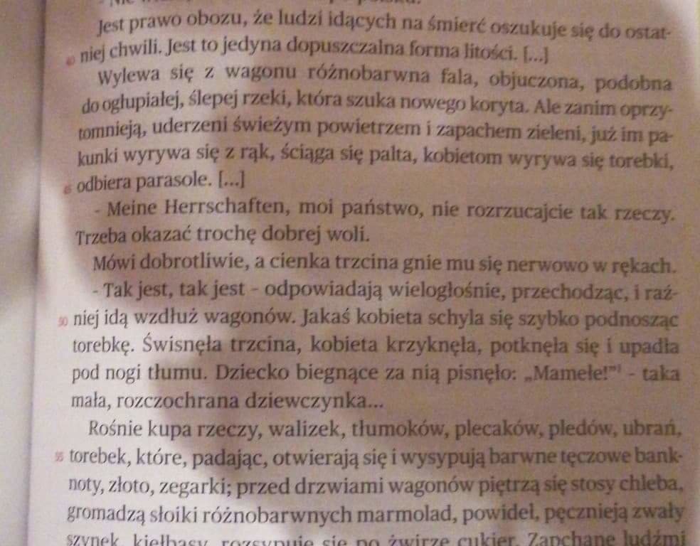 Co należało do zadań esesmanów ?Opisz ich wygląd zachowanie i emocje - załącznik 2