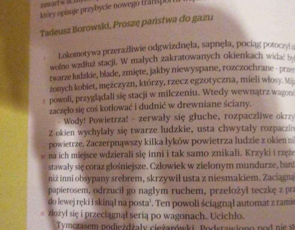 Co należało do zadań esesmanów ?Opisz ich wygląd zachowanie i emocje - załącznik 3