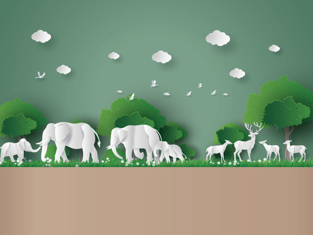 Zwierzęta, o których istnieniu nie wiedziałeś cz.2