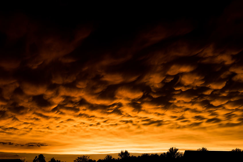 Niezwykłe piękno chmur. Jak wyglądają ich najciekawsze rodzaje?