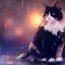 ShadowCat