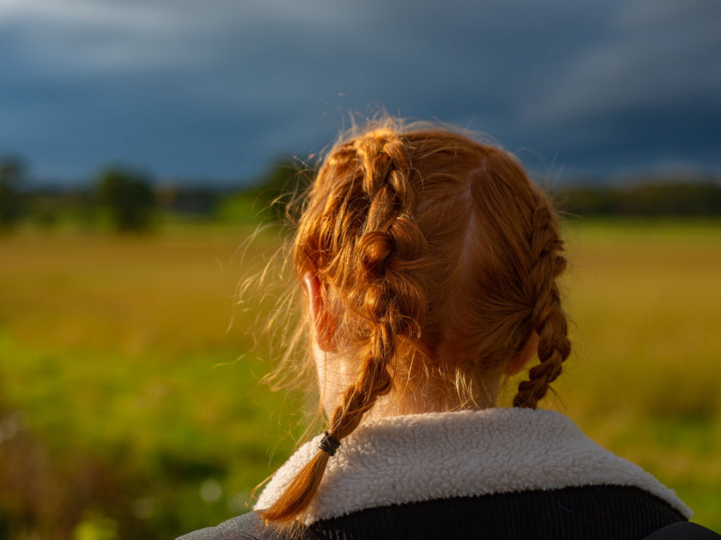Nowe tłumaczenie “Ani z Zielonego Wzgórza”. Co wzburzyło czytelników?