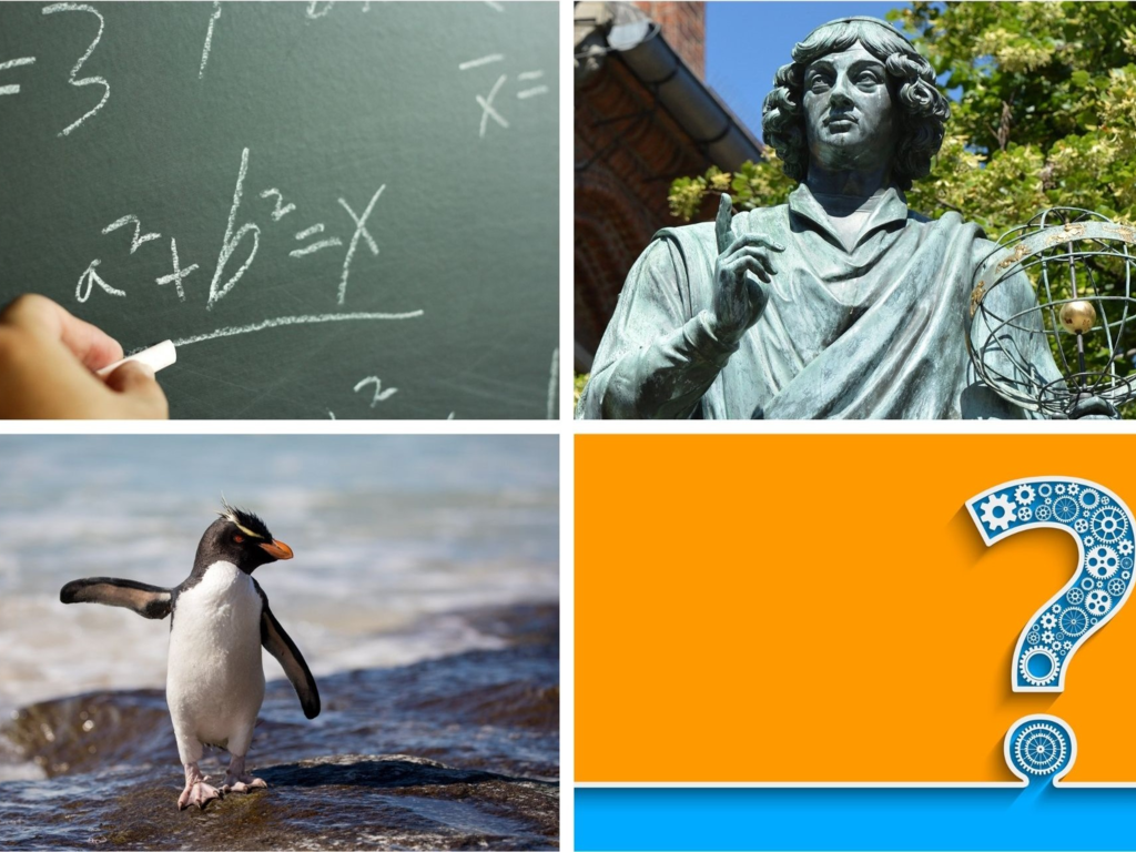 QUIZ: Prawda czy fałsz. Na te pytania odpowiadają dzieci z podstawówki. Odpowiesz?