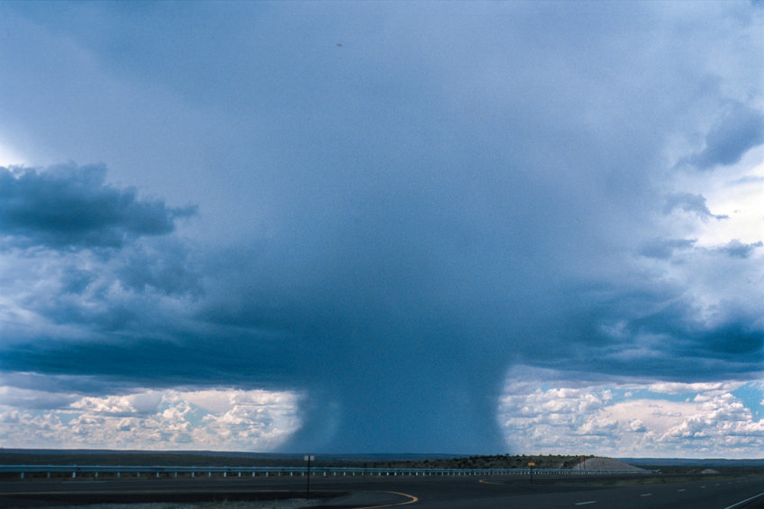Niszczy domy, lasy, zabija ludzi. Microburst coraz częściej szaleje po Polsce