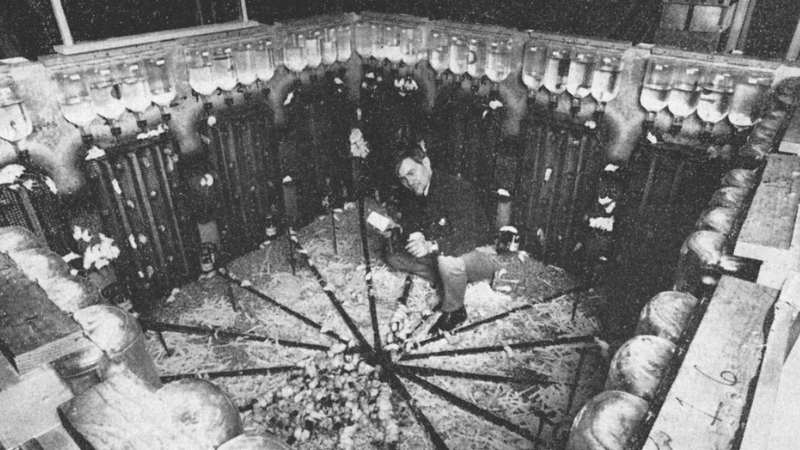 Eksperyment Calhouna. Czy tak wyglądałaby także utopia ludzi?