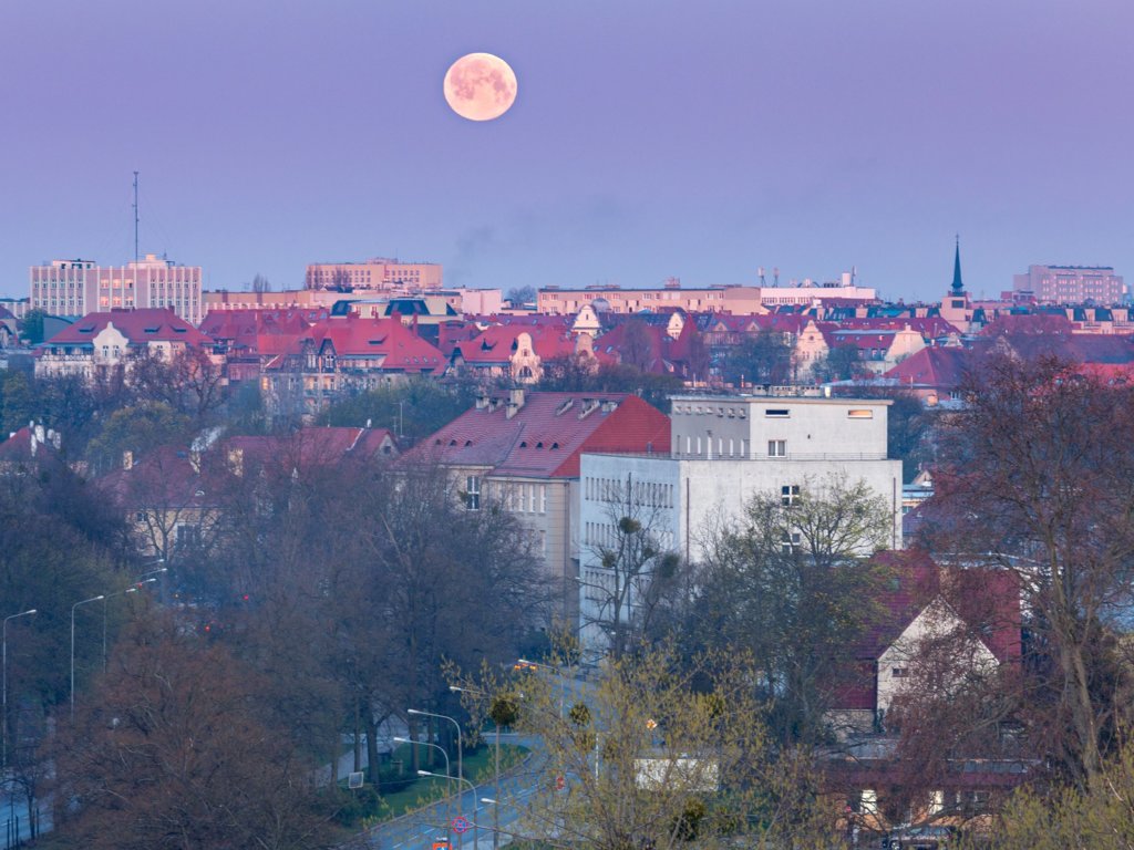 Dziś na niebie Koźli Księżyc. Skąd biorą się nazwy wszystkich pełni?