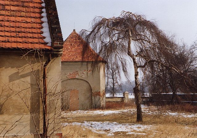 Saint_Lawrence_church_(2.3.1993)_in_Rapocin_(4)