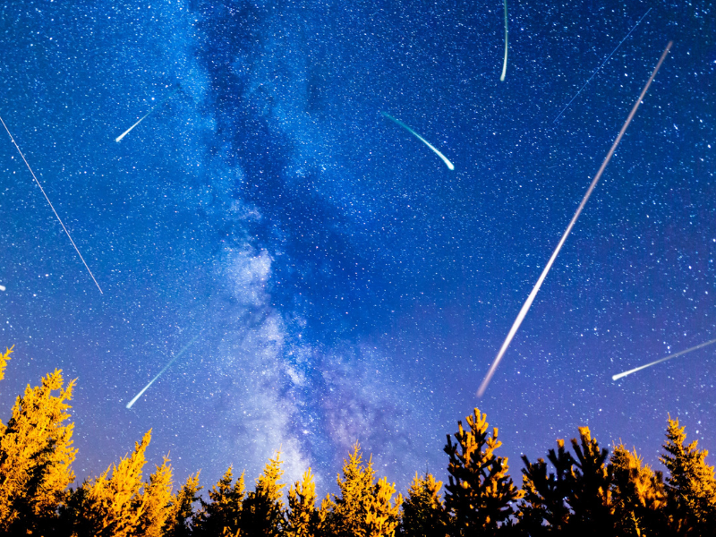Niebawem deszcz Leonidów. Kiedy zobaczymy maksimum najszybszego roju meteorów?