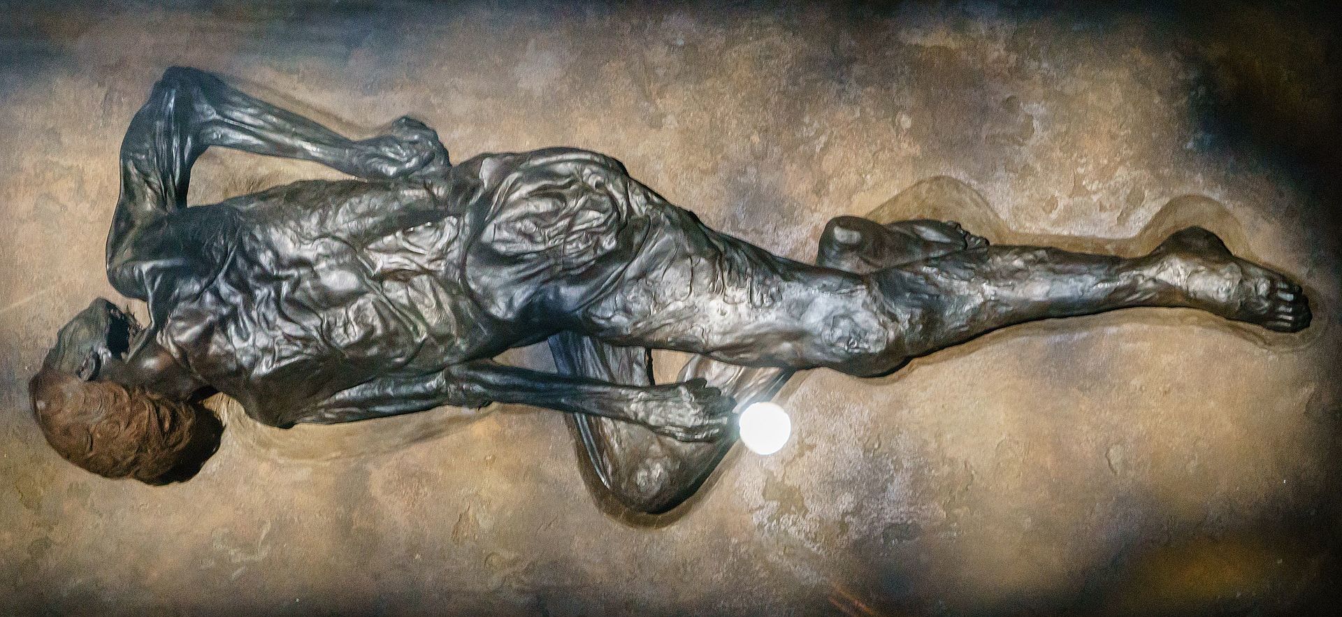 Grauballe_Man,_Moesgaard_Museum_2