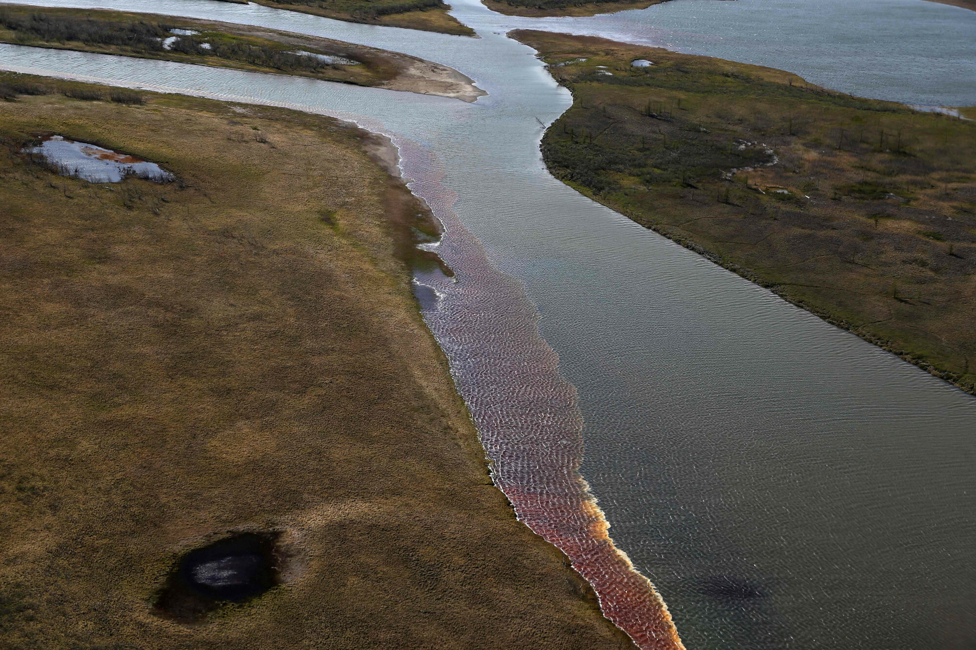 EN_01431561_2047