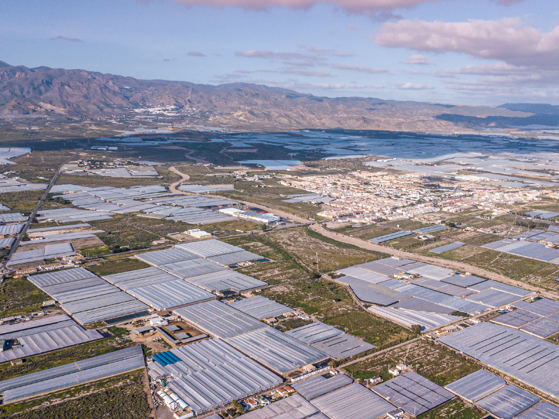 Almeria, czyli największy kompleks szklarniowy na świecie