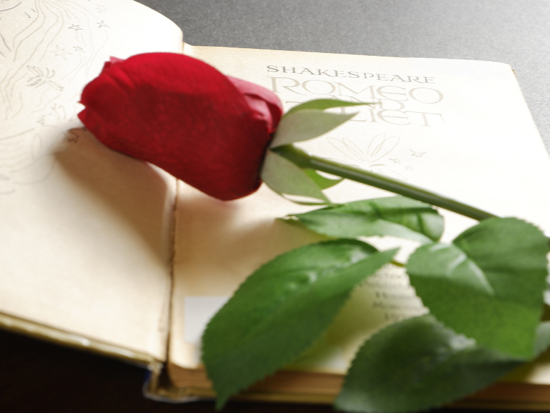 QUIZ walentynkowy. Literackie pary zakochanych. Pamiętasz ich imiona?