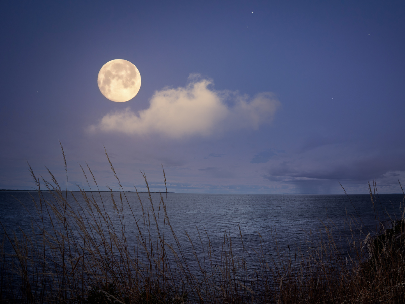 Pełnia w marcu 2023 rozświetli całe niebo.  Dlaczego nazywana jest Pełnią Śmierci?