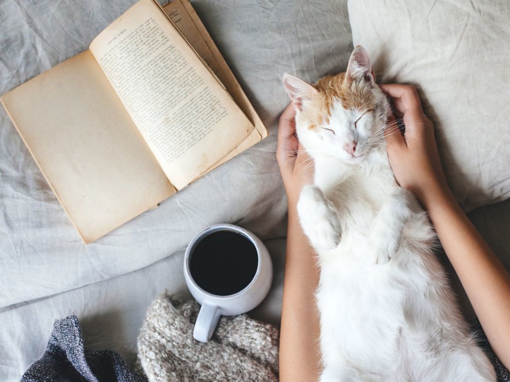 Książki na jeden wieczór