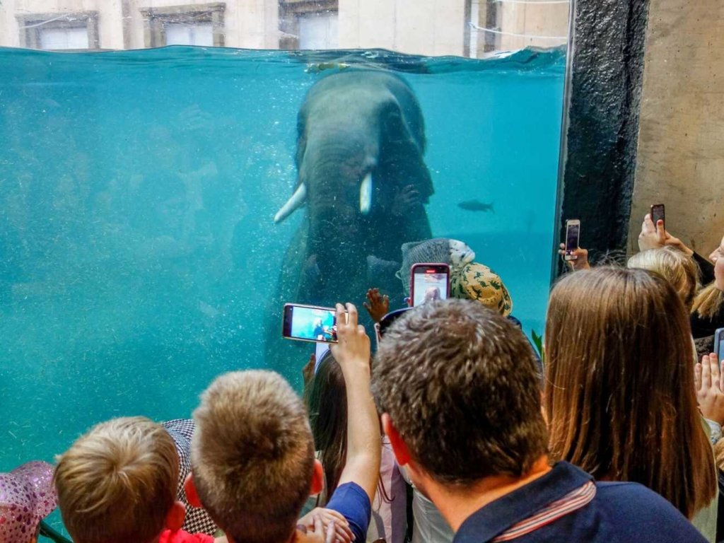 Orientarium w Łodzi. Pomysł na jednodniową wycieczkę