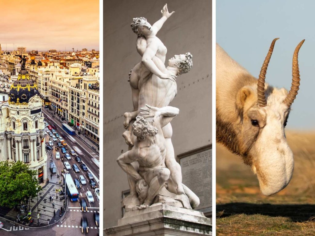 QUIZ dla wszechstronnych umysłów. Tylko najlepsi zdobywają 12/12