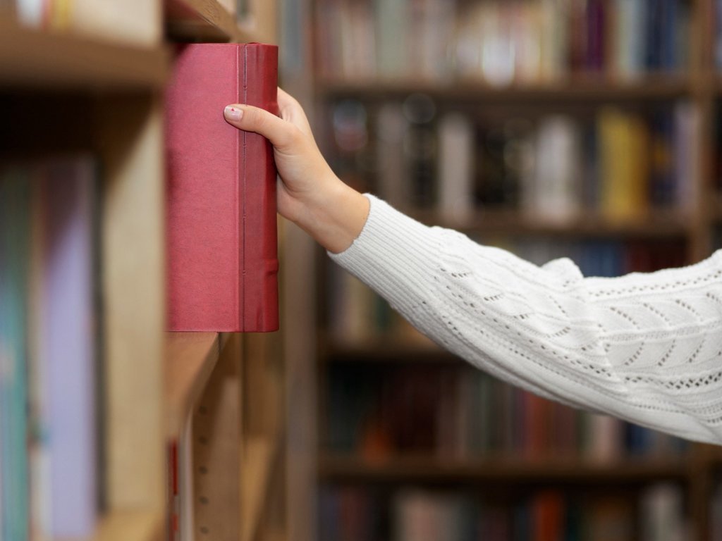 Jak zostać bibliotekarzem? Zawód idealny dla introwertyków