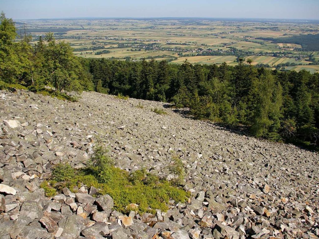 Tropy dinozaurów i polski Teksas... Czy w Polsce powstaną nowe geoparki?