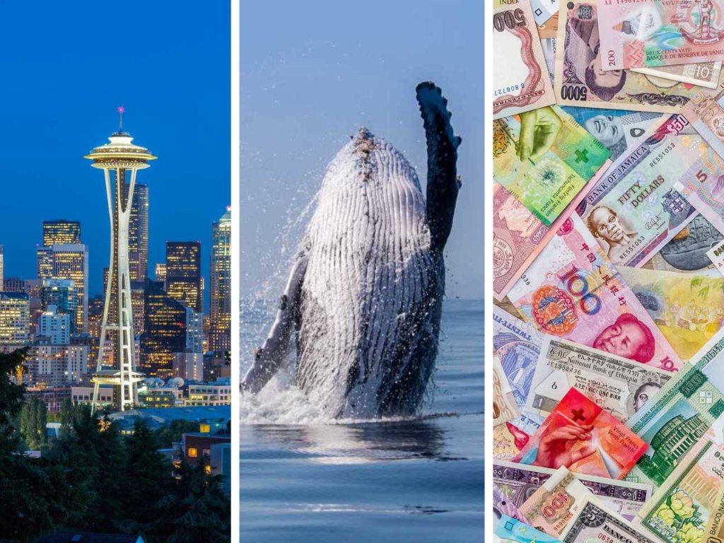 QUIZ z wiedzy o świecie. 12/12 tylko dla najlepszych