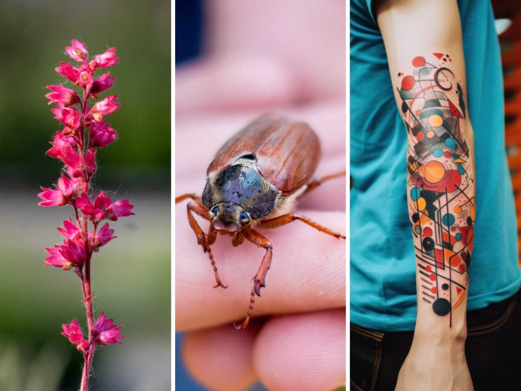 Arcytrudny QUIZ ortograficzny. 12/15 to już sukces