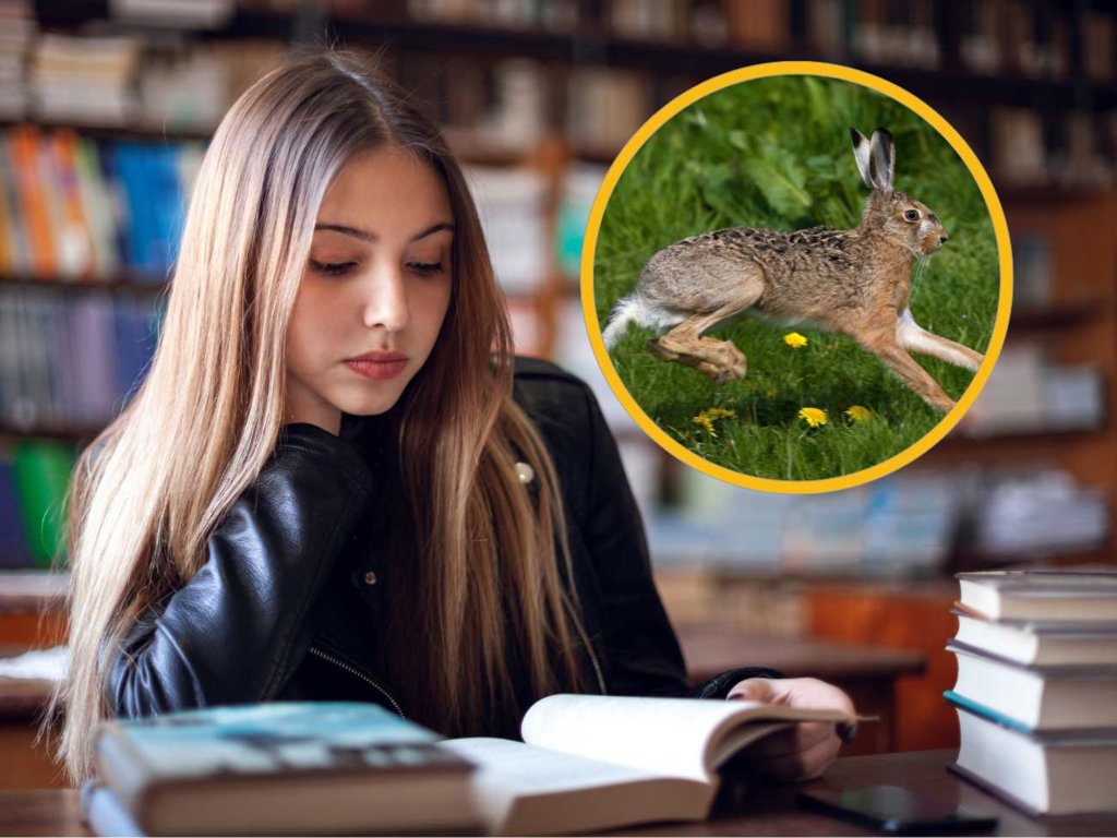 Co kryje się w przysłowiach i powiedzeniach? Warto o tym wiedzieć