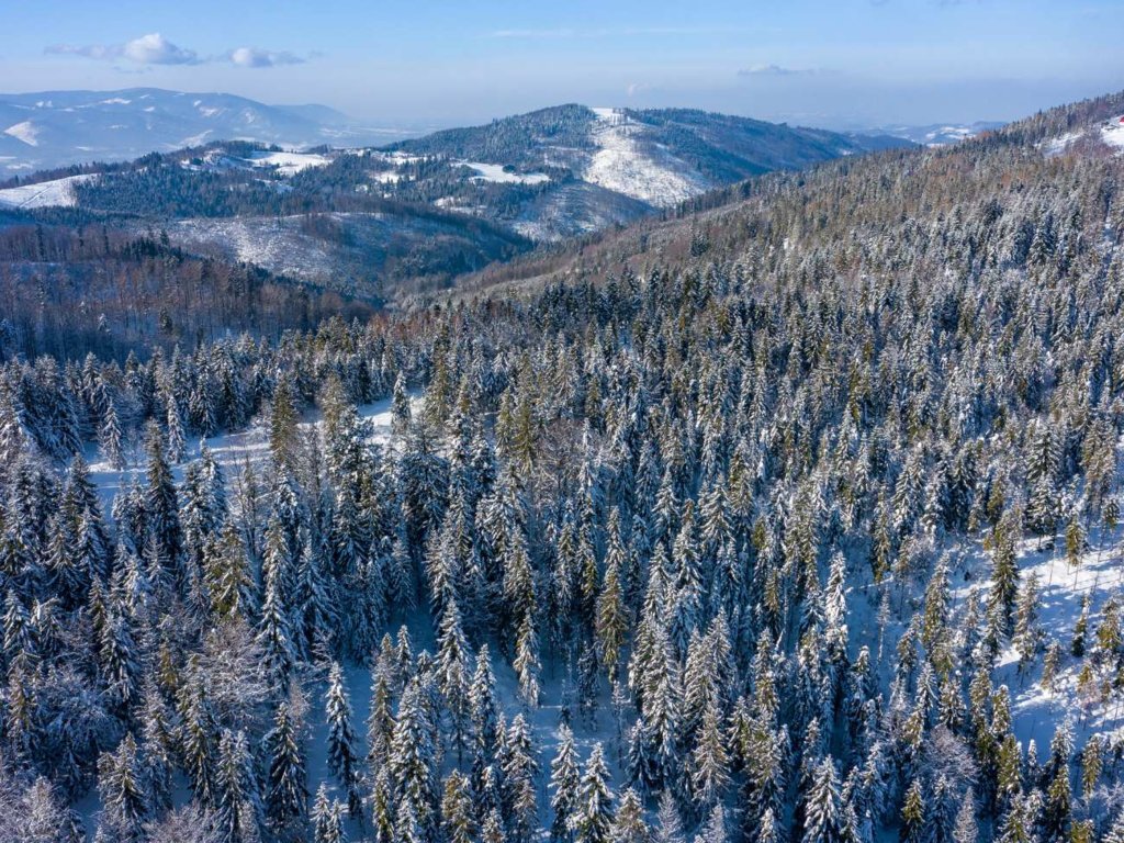 Przymrozek i mróz. Co warto wiedzieć na ich temat?