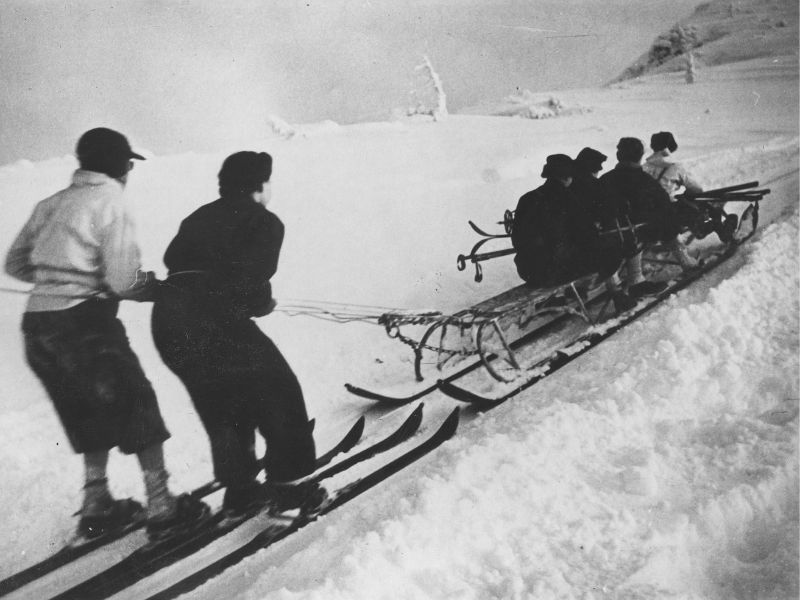 kulig narciarski