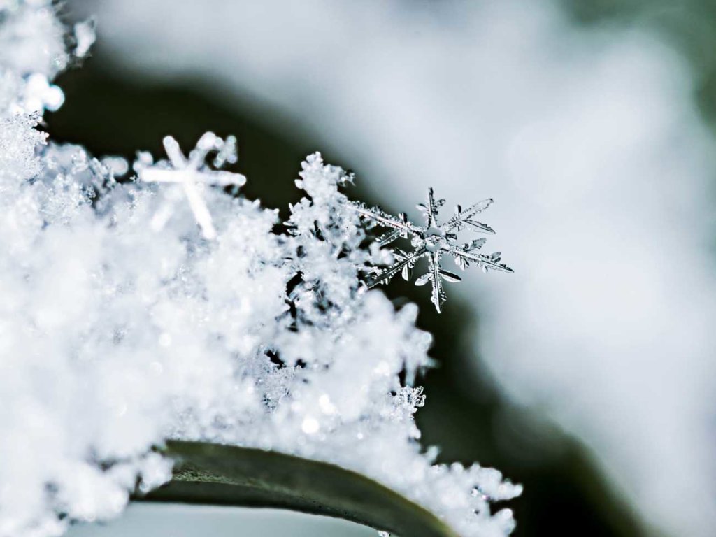 Płatki śniegu pod mikroskopem. Są podobne do... plastra miodu
