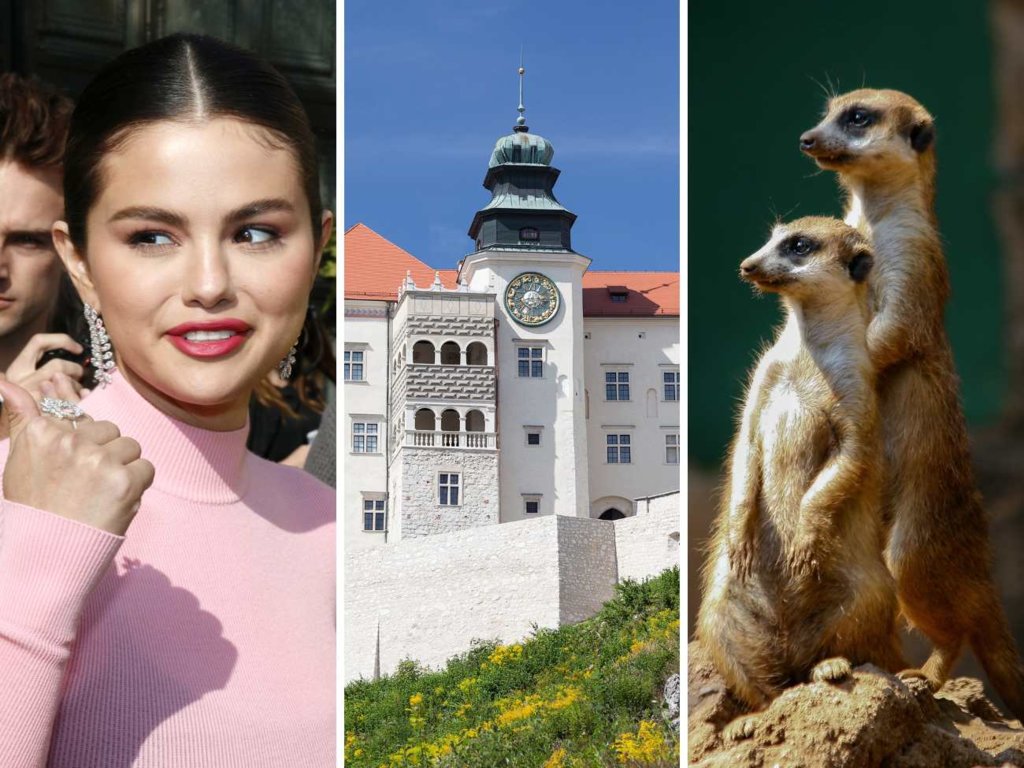 QUIZ z wiedzy o świecie. Nie wypada zdobyć mniej niż 10 punktów