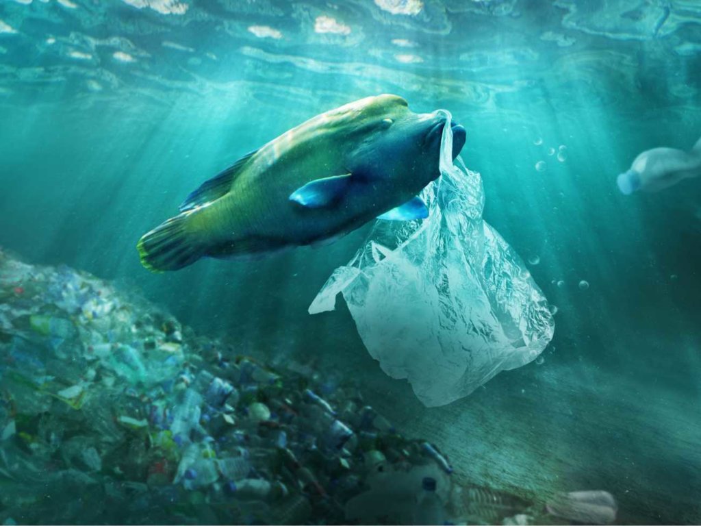 Torebki foliowe - wynalazek, który przerodził się w problem