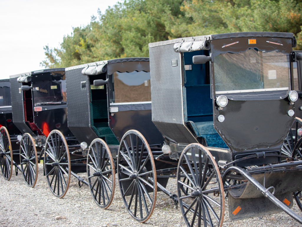 Zagadka piknikowa od Sama Loyda. Podejmiesz wyzwanie?