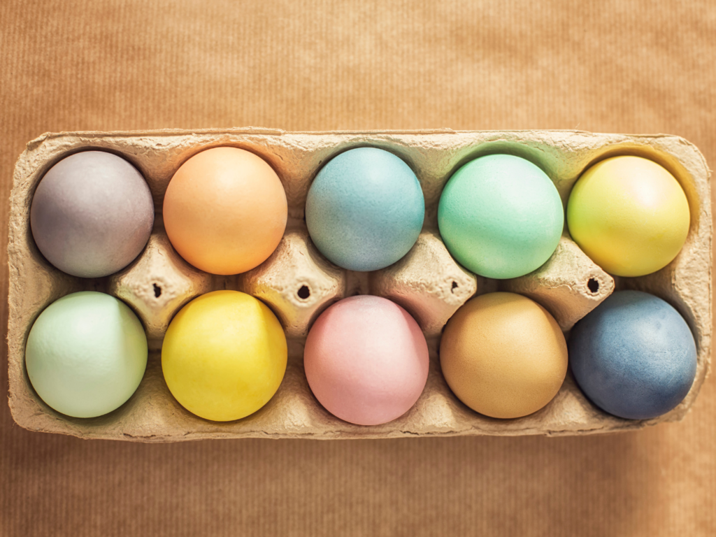 Zielone, niebieskie, a nawet czarne. Niezwykłe ptasie jaja