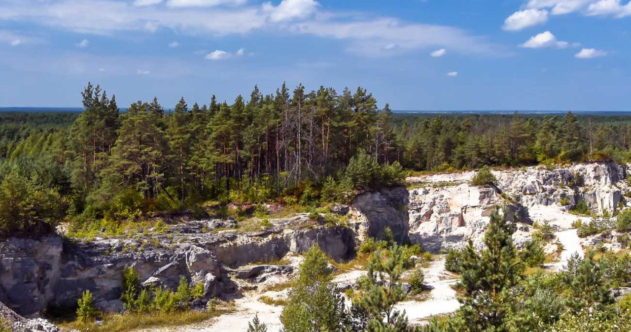 Las Roztocze Kamienny Las na Roztoczu. Niezwykła atrakcja turystyczna - Bryk.pl