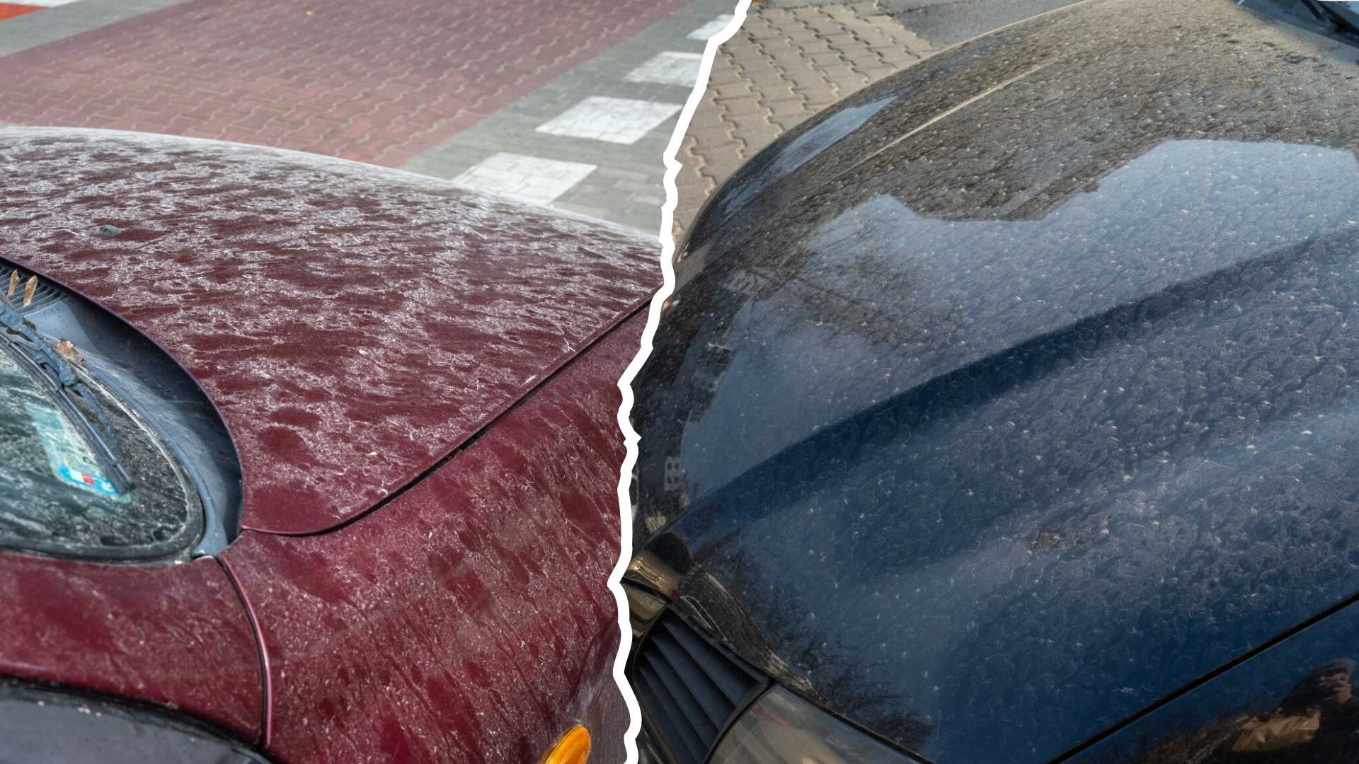 karoseria samochodu pokryta żółtym pyłem