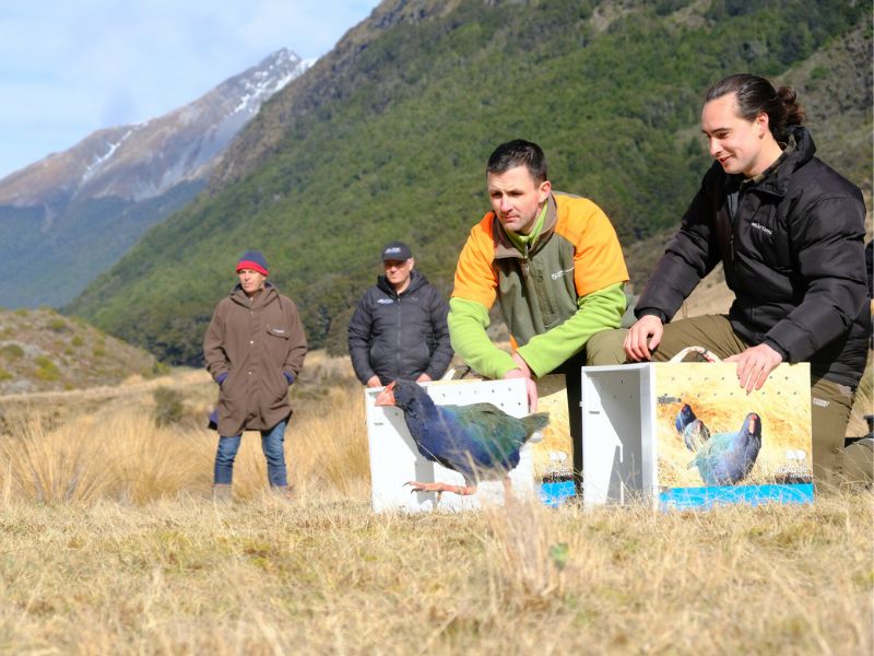 Projekt bez nazwy - 2024-05-17T141924.377