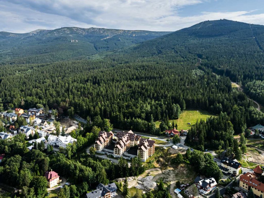 Jaka jest powierzchnia lasów w Polsce? TOP 10 najbardziej zalesionych miast