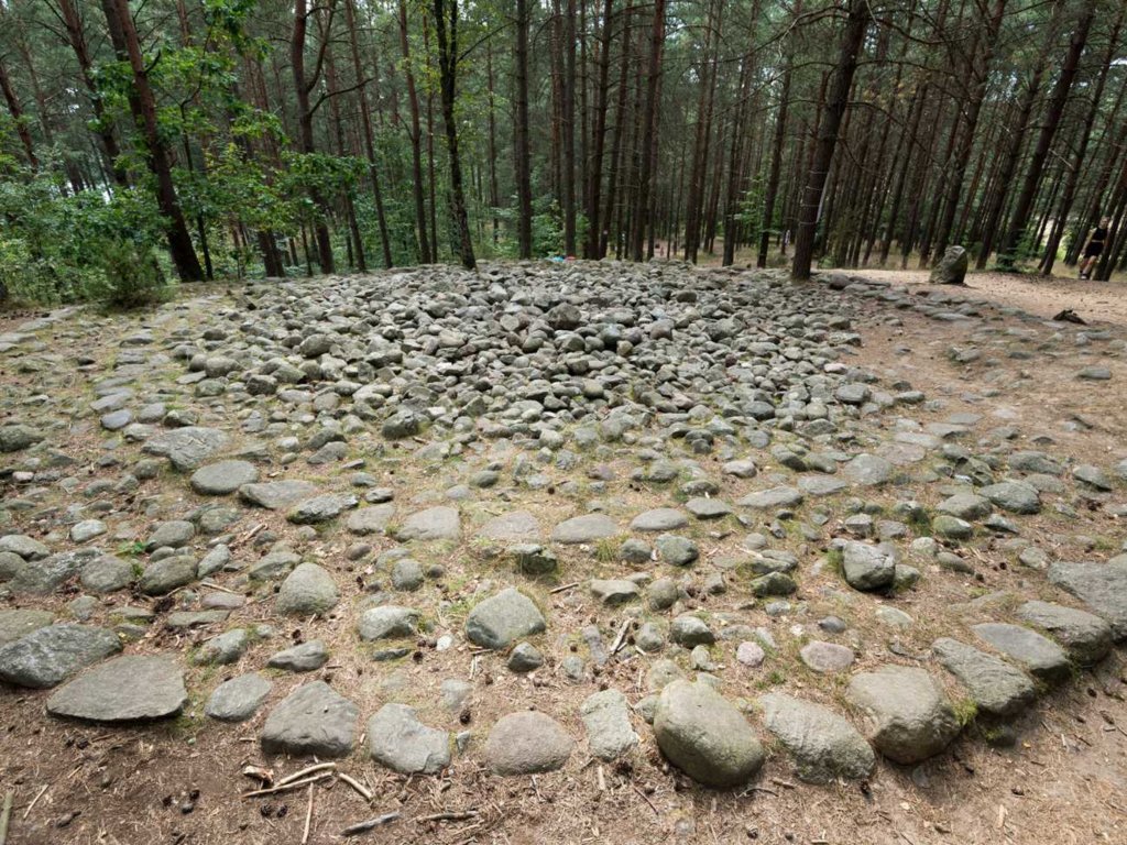 Nazywane polskim Stonehenge. Rezerwat Przyrody Kamienne Kręgi w Borach Tucholskich