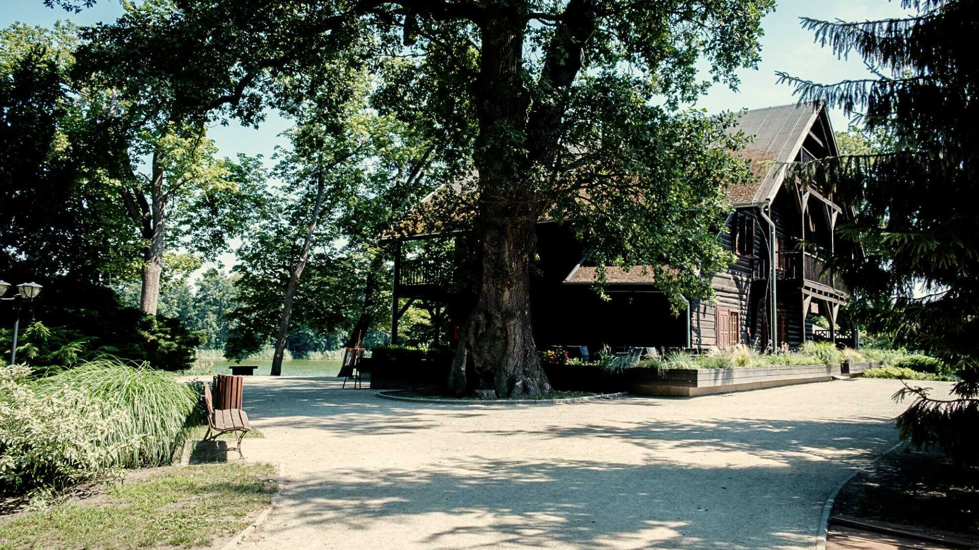 dom szwajcarski na wyspie edwarda