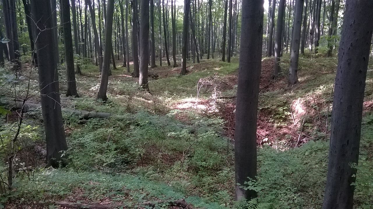 Krajobraz_Segietu_2