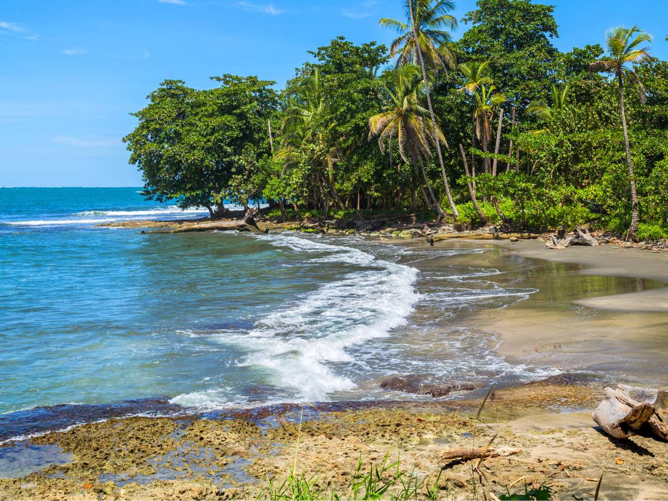 tropikalna plaża