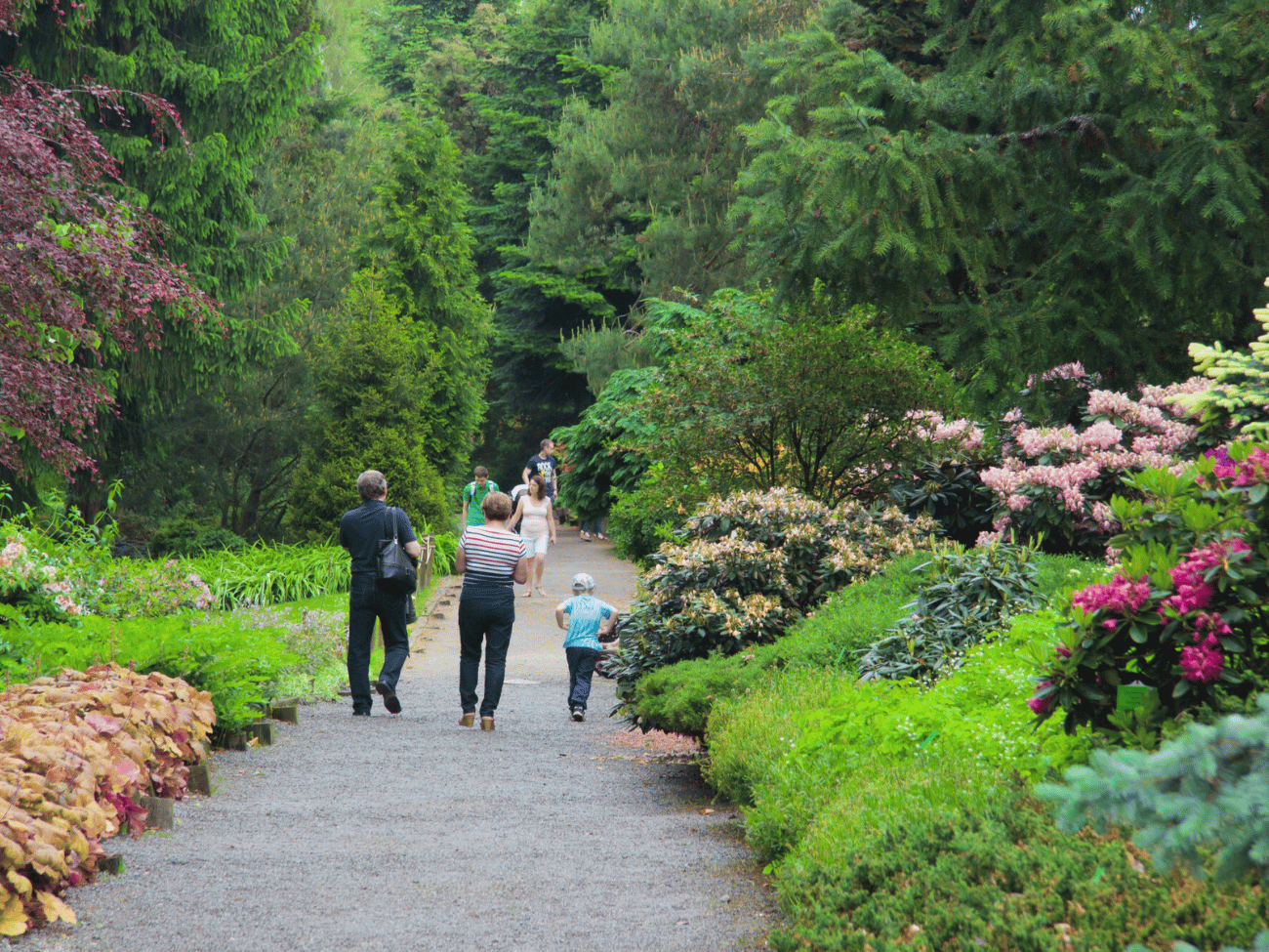 Arboretum Wojsławice  – jeden z najpiękniejszych ogrodów w Polsce. Kolekcja hortensji zachwyca