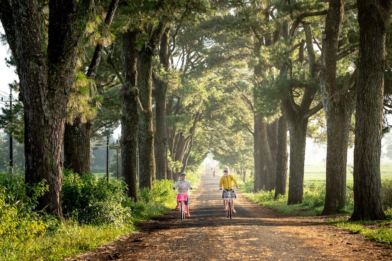 Wakacyjna wycieczka połączona z odkrywaniem tajemnic – najciekawsze polskie ścieżki